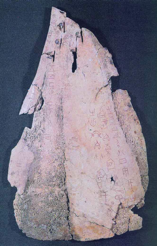 图片地址2