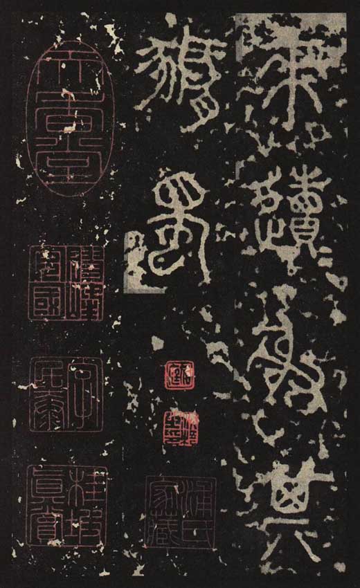 图片地址6