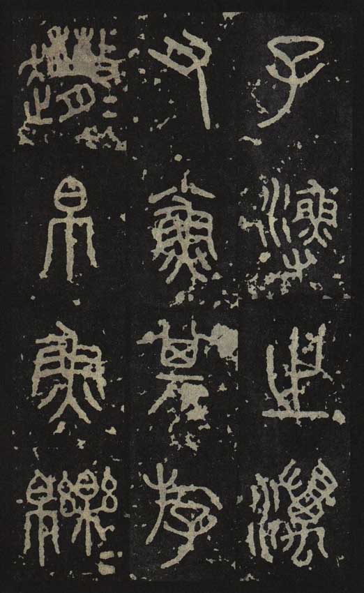 图片地址8