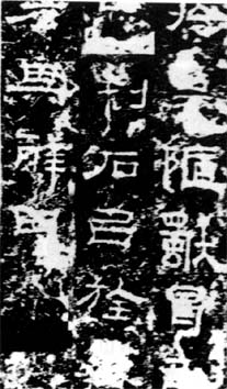图片地址1