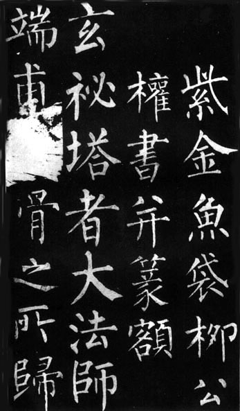 图片地址1