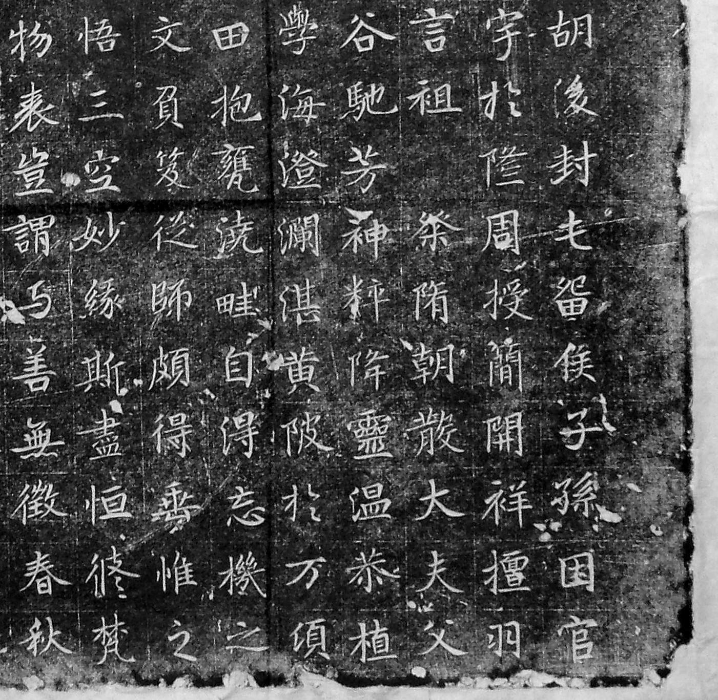 图片地址2
