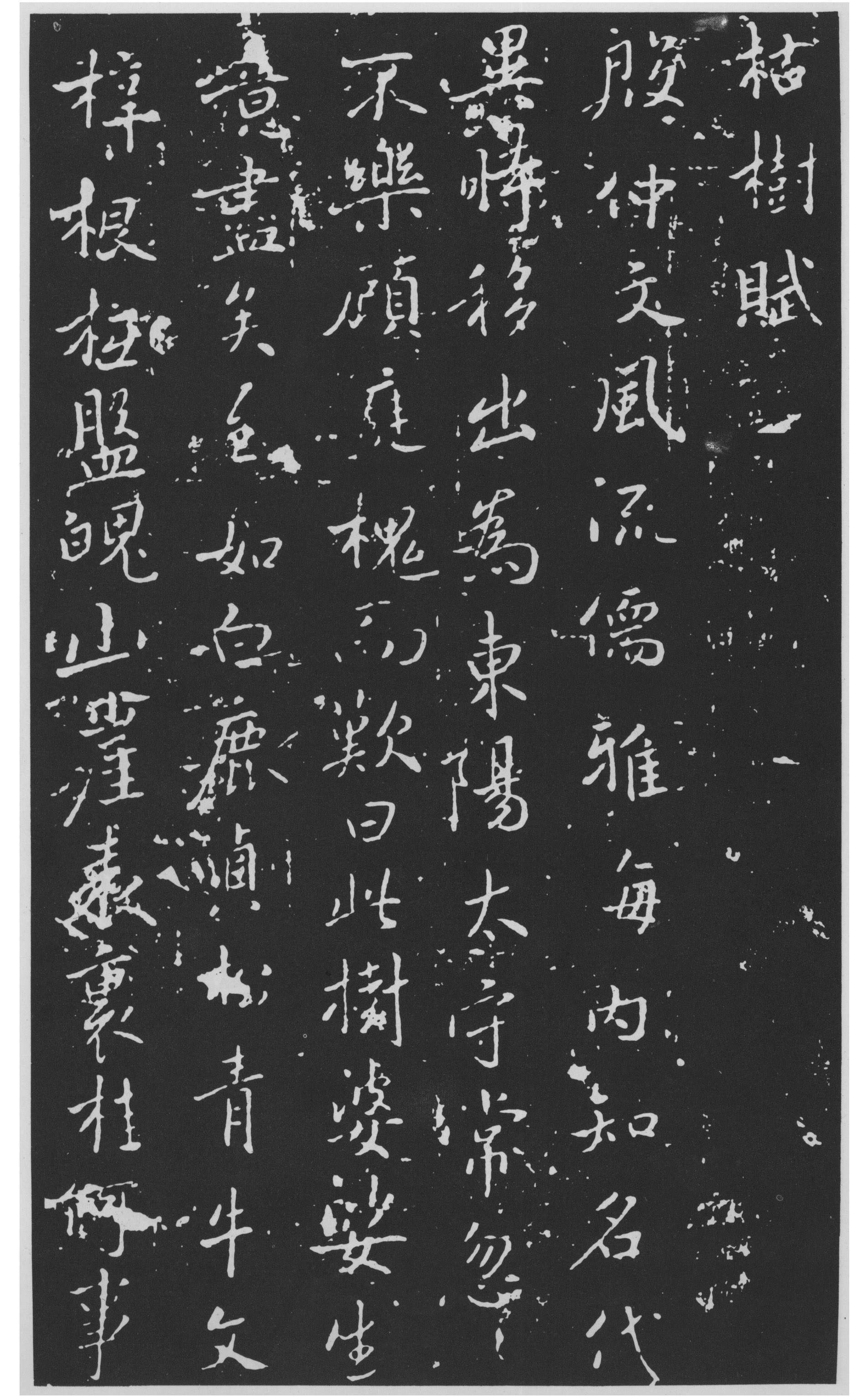 图片地址1