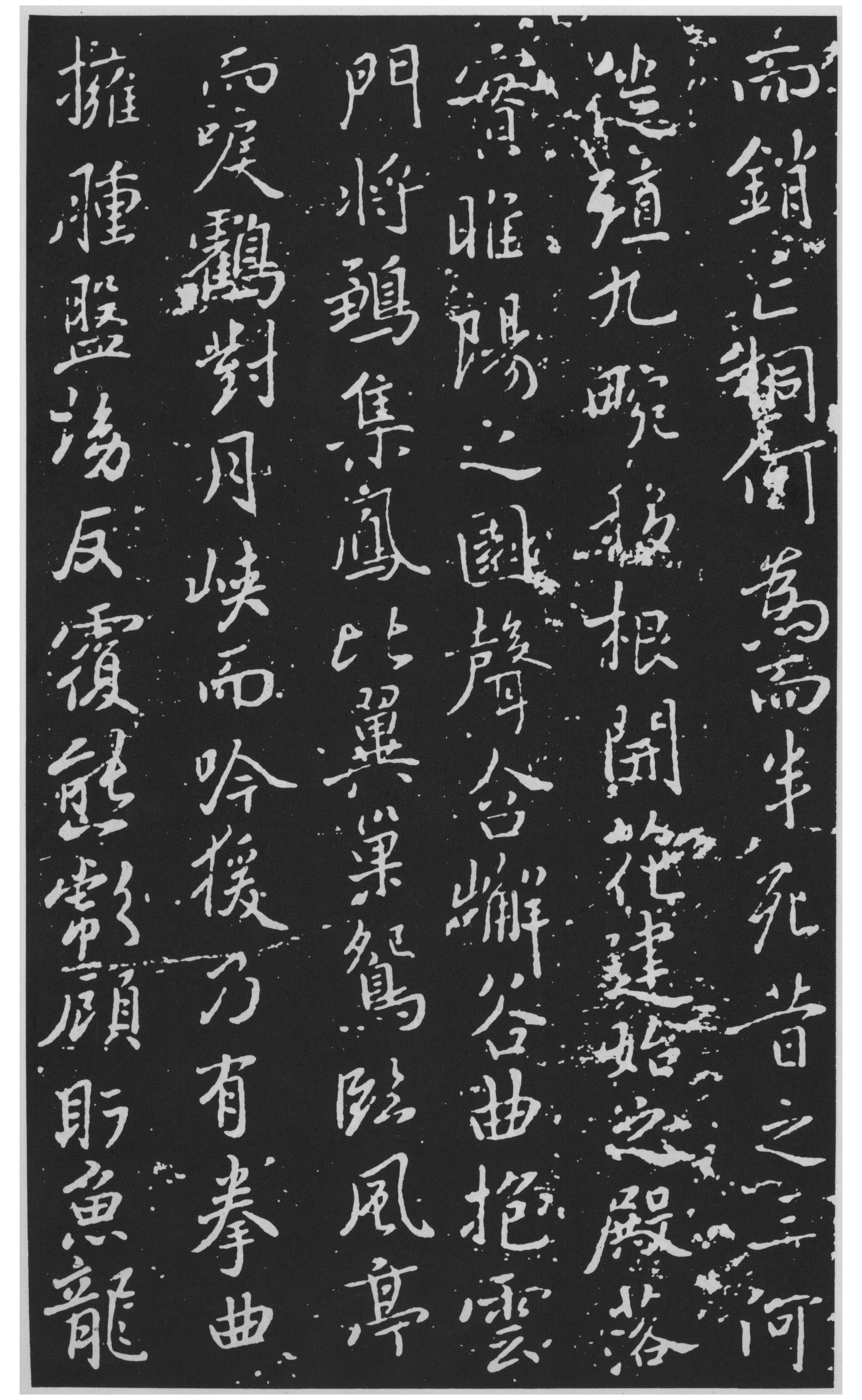 图片地址2