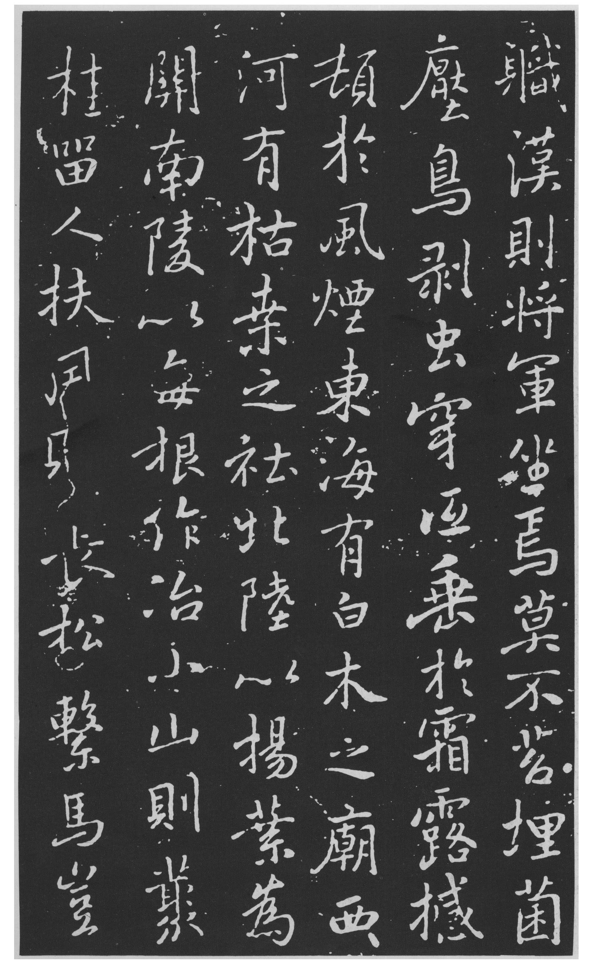 图片地址4