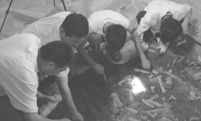 今年考古圈：古墓被毁频现 法律手段乏力