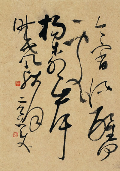 “创新”与“邪乎”——纵观胡抗美沃兴华书法展