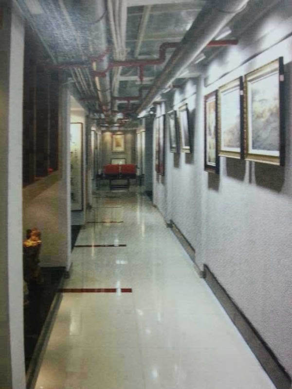 徐柏林油画作品展7月26日在武汉益合美术馆举行