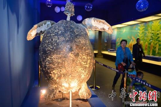 “海洋精灵”游进内蒙古