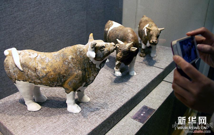 #（文化）（2）隋炀帝墓出土文物特展在扬州开展