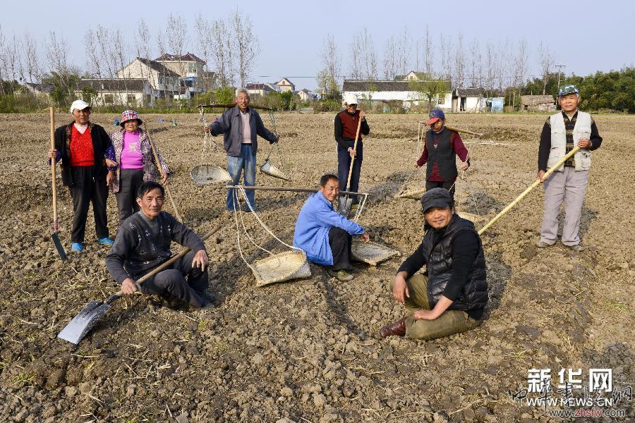 #（文化）（5）大地农民画《巨龙舞梦》轮廓初显