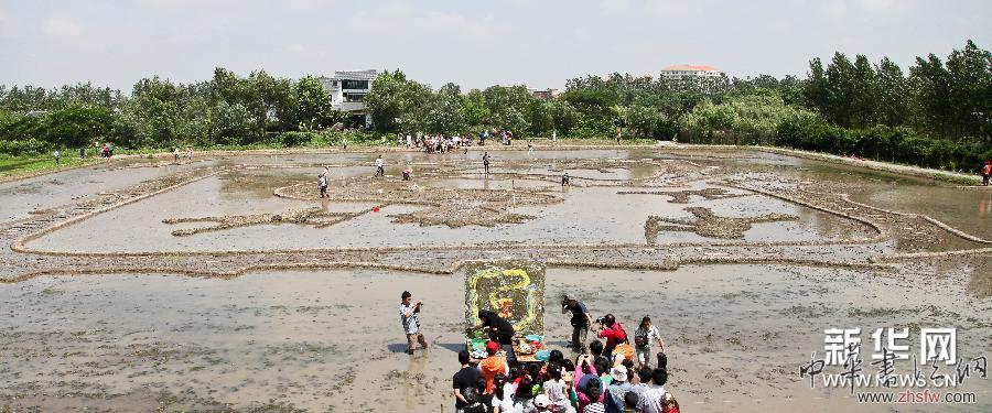#（社会）（2）大地农民画《巨龙舞梦》正式种“彩龙”