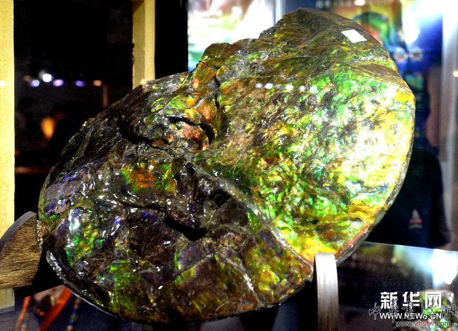 （晚报）（2）加拿大鹦鹉螺斑彩宝石现身北京