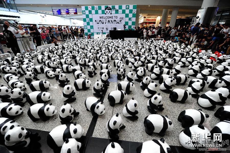 （文化）（2）1600只纸制熊猫亮相香港国际机场