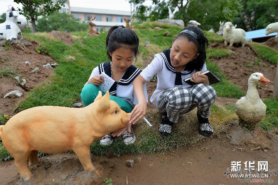 #（教育）（5）学校“动植物园”亮相辽宁朝阳
