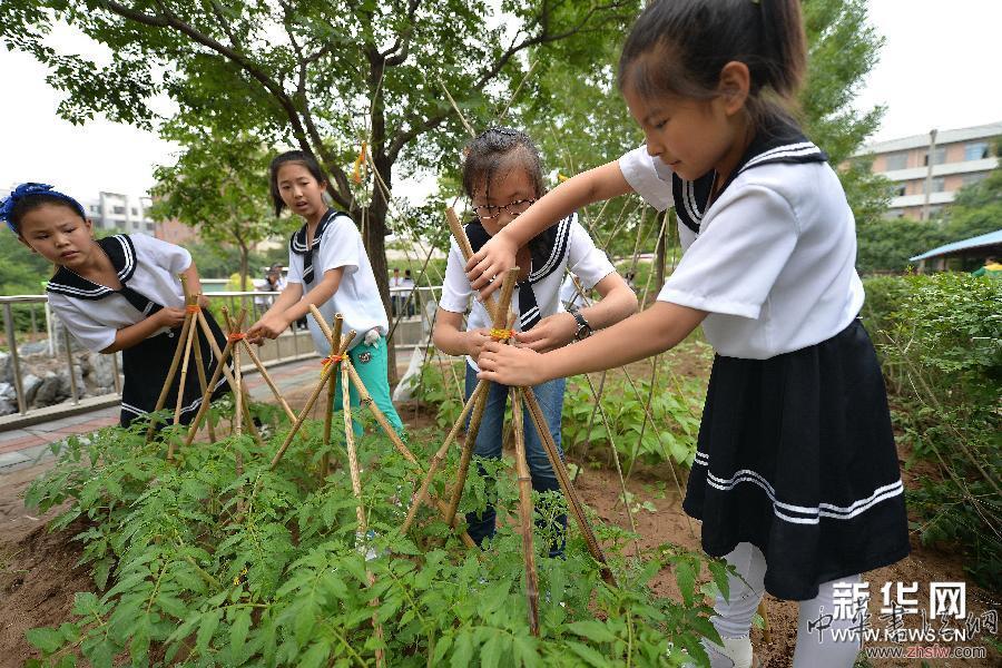 #（教育）（2）学校“动植物园”亮相辽宁朝阳