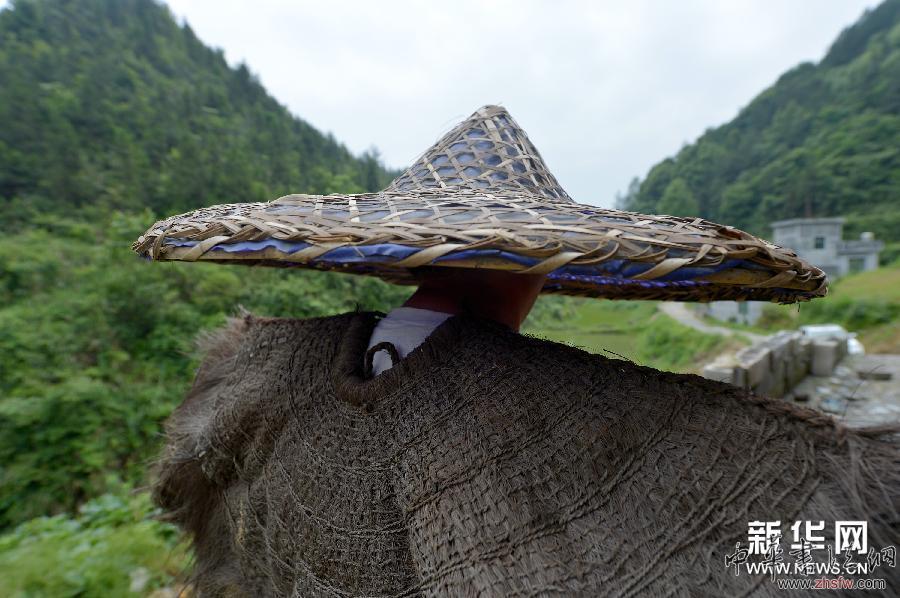 #（文化）（6）织蓑衣——“树皮成衣”的古老缝纫技艺