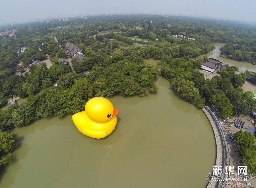 （社会）（2）杭州西溪湿地“大黄鸭”助力爱心公益