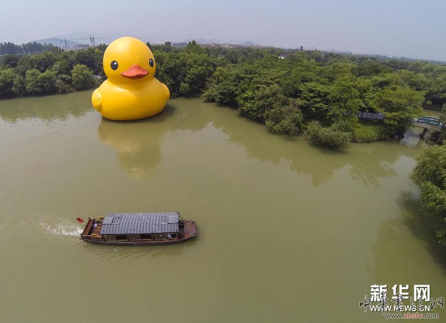 （社会）（1）杭州西溪湿地“大黄鸭”助力爱心公益