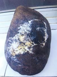 点击浏览下一页
