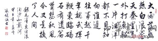 张俊焕——特邀最受欢迎的双十大人民书法家献礼全国两会