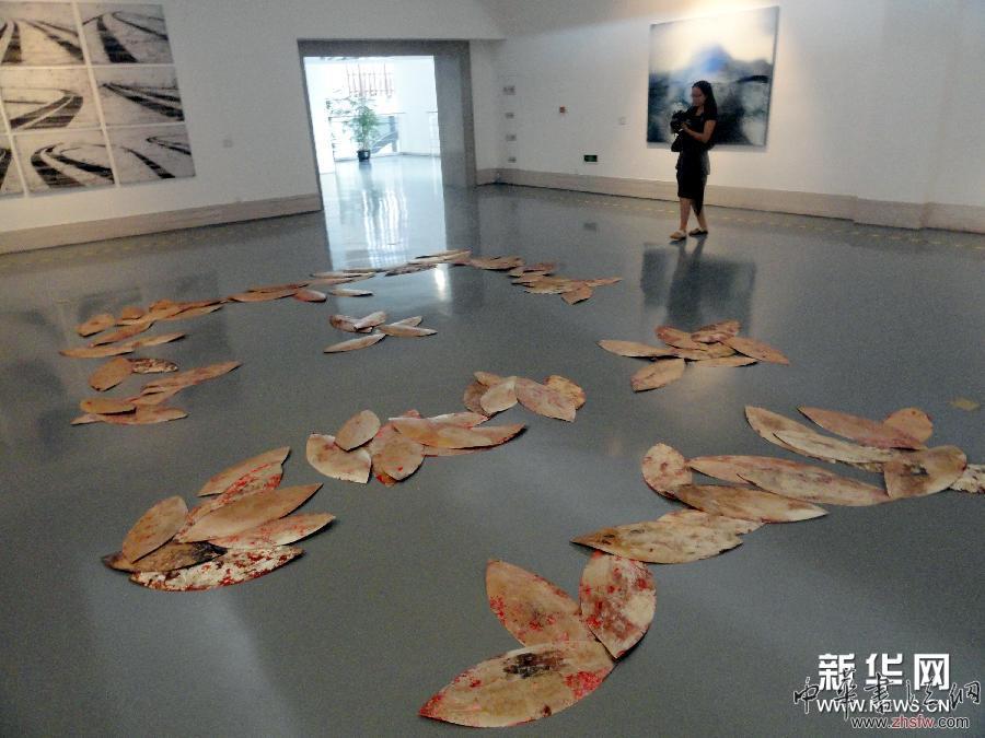 西班牙当代艺术展在苏州美术馆开展 图