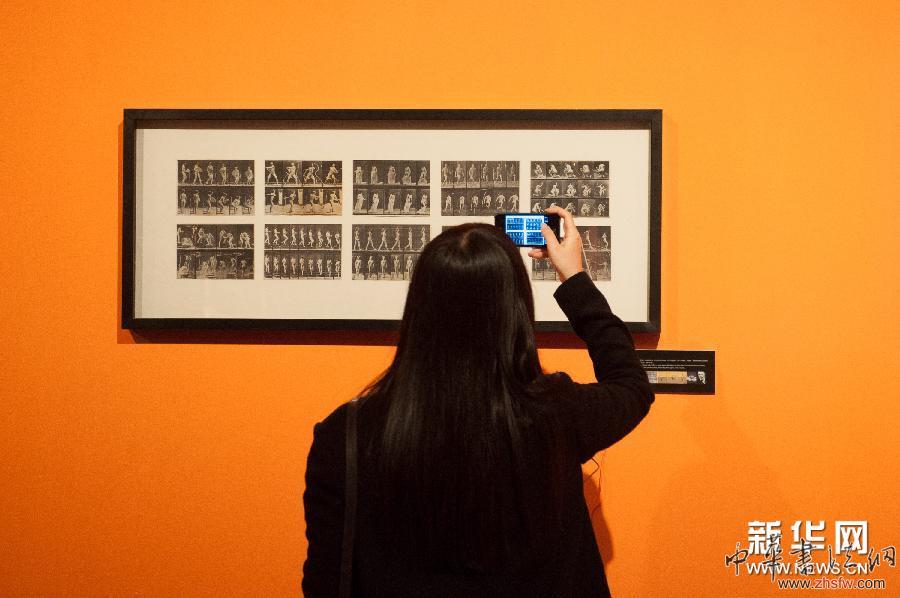 （文化）（2）英国艺术家弗朗西斯·培根作品中国首展在南京揭幕