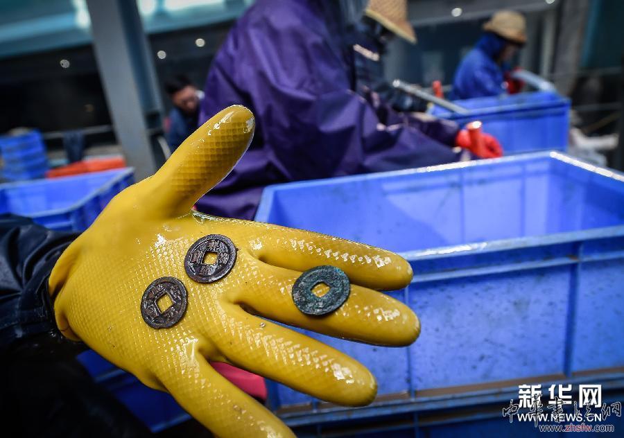 （城乡热点）（3）“南海一号”海量宋瓷重见天光