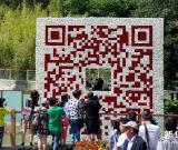 巨型“大熊猫鲜花二维码”亮相昆明 组图