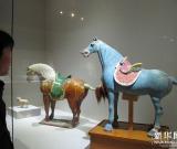 西安举办以“骁腾万里”为主题的马文化展 图
