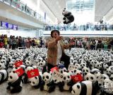 1600只纸制熊猫亮相香港国际机场 组图
