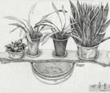 精美插画作品欣赏