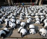 1600只“熊猫”合肥街头集体卖萌 组图