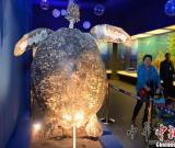 “海洋精灵”游进内蒙古