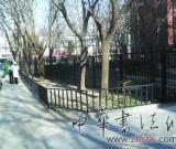 齐白石墓周边环境整治一新
