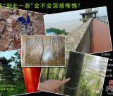 “到此一游”意义何在？追问那些令人惭愧的涂鸦