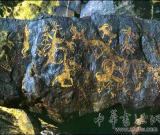 电子眼全天候监控 高科技保护濒危阴山岩画