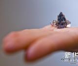 13.22克拉鲜彩蓝色钻石即将拍卖 图