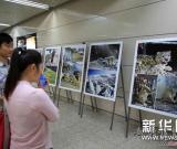 “寻找雪豹”公益展览在北京地铁举办 图