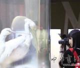 首家候鸟博物馆开馆 占地约2000平方米