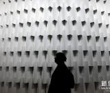 巴西“纸制”展馆吸引各方来客 图