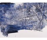 诸子·2013-王成作品展