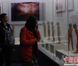 重庆展出汉阳陵文物 展现“文景之治”盛景