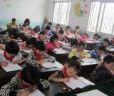嵊州市二年级学生参加规范汉字硬笔书法比赛