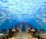 海底艺术餐一顿500万美元(图)