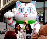 济南：“招财猫”迎圣诞